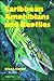 Caribbean Amphibians and Reptiles