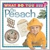 What do You See on Pesach