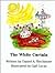 The White Curtain by Daniel A. Birchmore