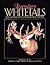 Legendary Whitetails: Stories and Photos of 40 of the Greatest Bucks of All Time