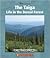 The Taiga: Life In The Bore...