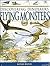 Flying Monsters (World of Dinosaurs (Chrysalis Hardcover))