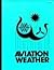 Aviation Weather For Pilots...