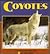 Coyotes (Nature Watch)