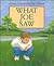 What Joe Saw