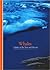 Whales by Yves Cohat