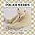Polar Bears