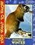 Animals In Winter (Kids Want to Know Series)