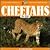 Cheetahs for Kids (Wildlife for Kids Series)