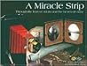 A Miracle Strip: Through the Lens of Arturo and the Hearts of Many A Miracle Strip: Through the Lens of Arturo and the Hearts of Many