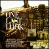 One Last Look: A Sentimental Journey to the Eighth Air Force Heavy Bomber Bases of World War II in England (Hardcover)