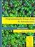 Programming in Emacs LISP by Robert J. Chassell Programming in Emacs LISP by Robert J. Chassell