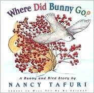 Where Did Bunny Go? A Bunny and Bird Story (Hardcover)