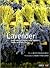 Lavender: In Nature And Garden, Home And Kitchen