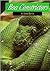 Boa Constrictors: And Other Boas (Snakes)