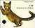 Cat in Search of a Friend