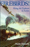 Firebirds! Flying the Typhoon in Action (Hardcover)