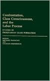 Confrontation, Class Consciousness, and the Labor Process: Studies in Proletarian Class Formation (Contributions in Labor Studies)