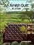 An Amish Quilt in a Day - V...