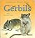 Gerbils by Laura Howell