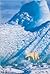 Wildlife Photographer of the Year by BBC Books