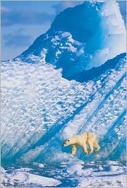 Wildlife Photographer of the Year: Portfolio 14 (Hardcover)