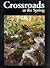 Crossroads at the Spring: A Pictorial History of Springfield, Missouri