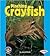 Pinching Crayfish (Pull Ahead Books: Animals)