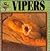 Vipers (Fangs! an Imaginati...