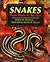 Snakes: Their Place in the Sun (Redfeather Book)