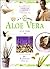 In A Nutshell: Aloe Vera