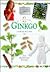 Ginkgo Biloba (In a Nutshell, Healing Herbs Series)