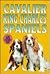 Cavalier King Charles Spaniels (Kw Series)