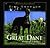 Great Dane: Model of Nobility