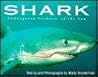 Shark: Endangered Predator of the Sea Shark: Endangered Predator of the Sea