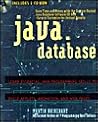 Java Database Development