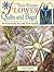 Fast-Folded Flower Quilts &...