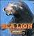 Sea Lion