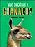 What on Earth Is a Guanaco?