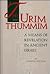The Urim and Thummim by Cornelis Van Dam