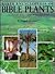 Baker Encyclopedia of Bible Plants: Flowers and Trees, Fruits and Vegetables, Ecology