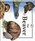 The Beaver (Life Cycles)