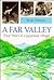 A Far Valley by Brian Moeran