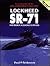 Lockheed SR-71 by Paul F. Crickmore