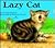 Lazy Cat