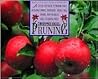 Pruning