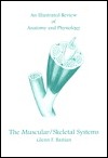 An Illustrated Review of Anatomy and Physiology: The Muscular/Skeletal Systems (Paperback)