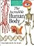 The Incredible Human Body by Frances R. Balkwill