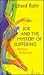 Job and The Mystery of Suffering by Richard Rohr