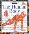 The Human Body
